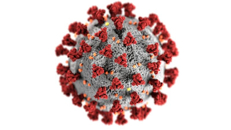 Das Bild zeigt einen Virus.